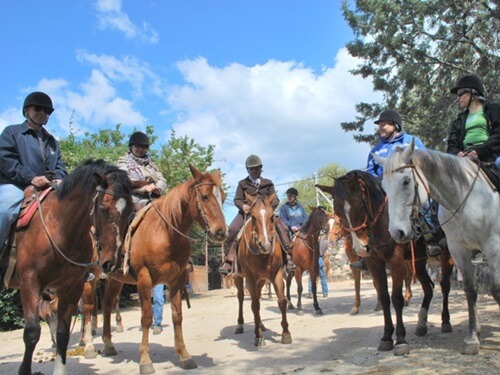 ורד הגליל- חוות סוסים